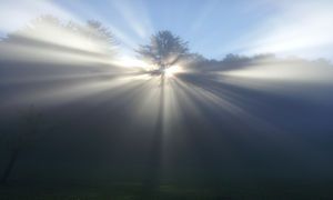 Es el Creador Todopoderoso, Dios de lo Imposible