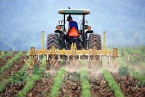 Trabaja en abundancia y lograrás una gran cosecha