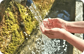 Vivir en Libertad. Bebiendo de la fuente.